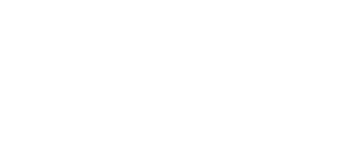 PDI Logo